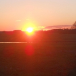 DSCN0342