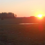 DSCN0343