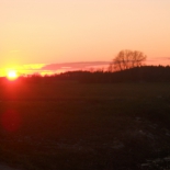 DSCN0344