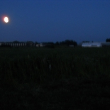 Picture 001