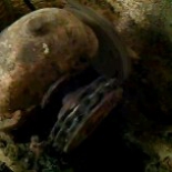 november2011 1851