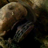 november2011 1862