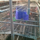 november2011 1882