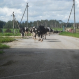 tallinna pildid 290