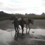 tallinna pildid 296