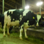 tallinna pildid 310