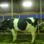 tallinna pildid 314