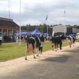 tallinna pildid 323