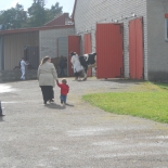 tallinna pildid 325