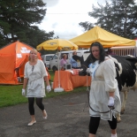 tallinna pildid 328