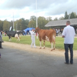 tallinna pildid 329