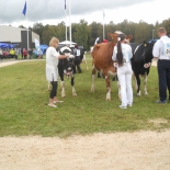 tallinna pildid 332