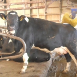 tallinna pildid 348