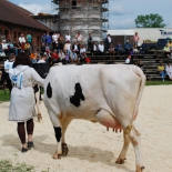 08.juuni 12.a. 104