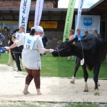 08.juuni 12.a. 134