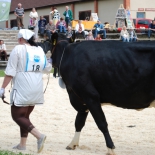 08.juuni 12.a. 138