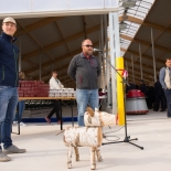 Farm_avamine_2018 (13)