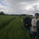 põllupäev (5)