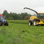 42_Tundub, et tuleb võtta uus koht ette