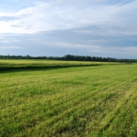 taimekasvatus (10)