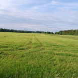 taimekasvatus (4)