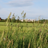 taimekasvatus (8)