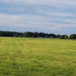 taimekasvatus (9)